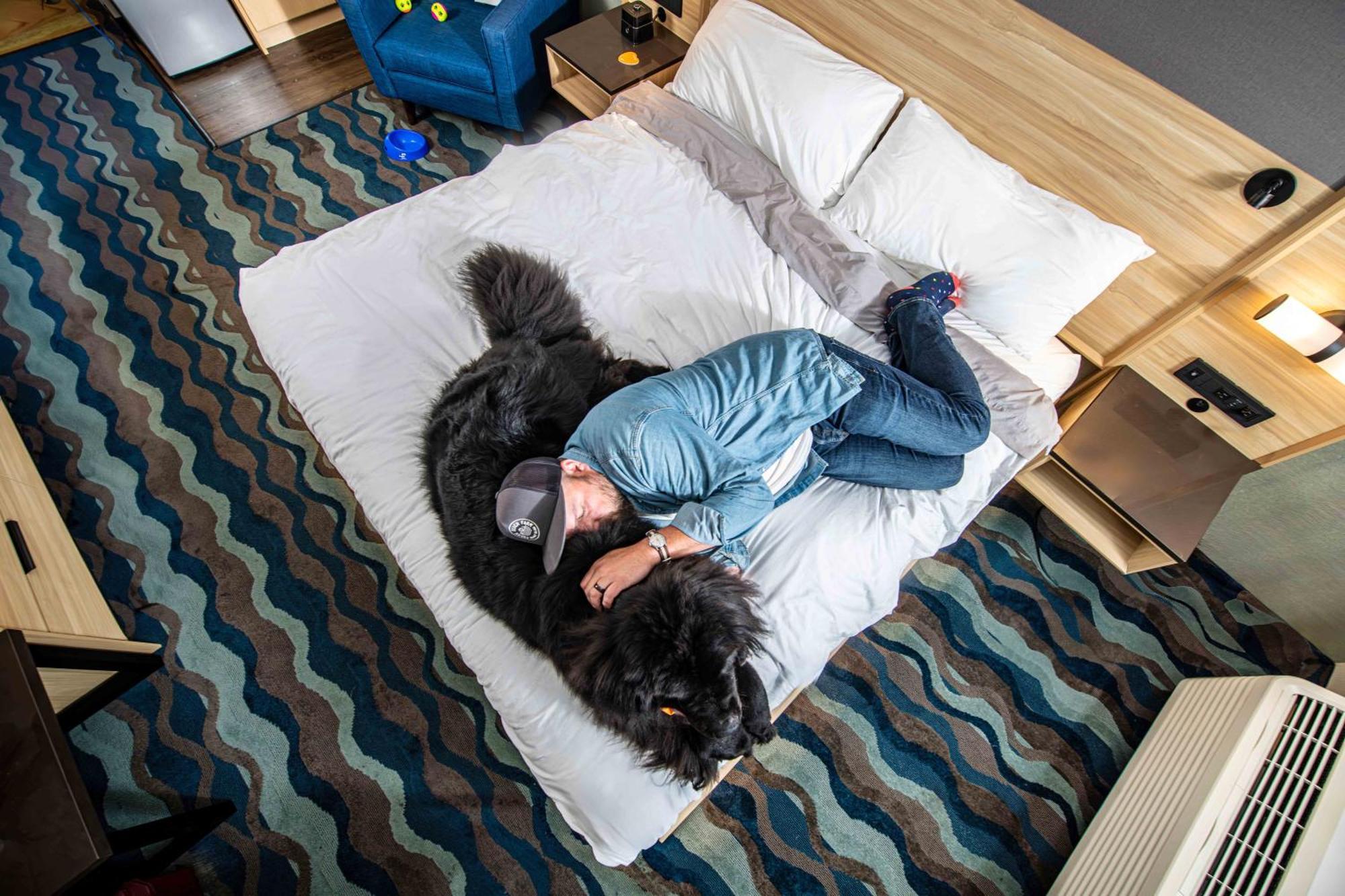 Accent Inns Kelowna Extérieur photo