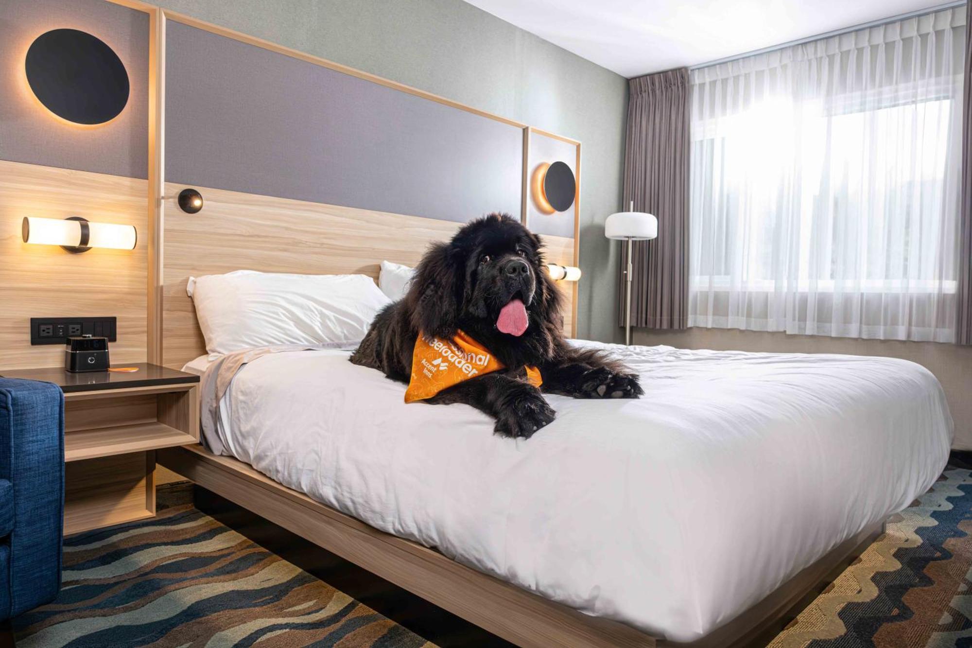 Accent Inns Kelowna Extérieur photo